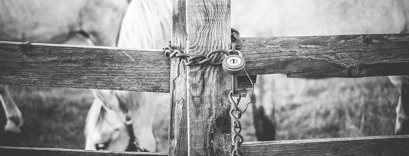 Black And White Locked Fence Close Up
